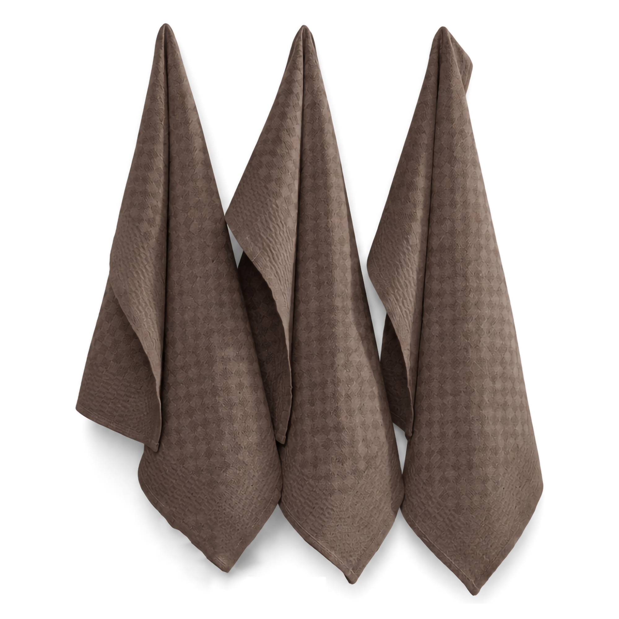 Strofinaccio Marrone Lavabile in Lavatrice si 40° 10 Pezzi 40x60 cm, - Radasi