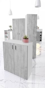 Armadio grigio e bianco 2 ante 80x92h cm - Argento