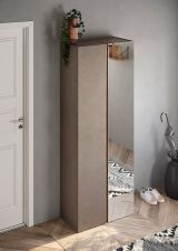 Armadio Multiuso 2 Ante Marrone Bronzo Trasparente 8 Ripiani Apertura Manuale 70x185h cm, 9 Vani - Salcito