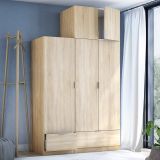 Armadio Multiuso 2 Ante Marrone Rovere un Ripiano un Vano 80x49h cm, 2 Ante - Carre