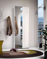 Armadio multiuso 2 ante Mbombela, Mobile multifunzionale, Mobiletto scarpiera, Guardaroba porta scarpe, Made in Italy, 70x19h200 cm, Bianco lucido