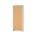 Armadio multiuso Charleston, Mobile portascope a 2 ante, Scarpiera con ripiani, Guardaroba portascope, cm73x37h180 cm, Bianco