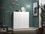 Armadio multiuso grande Madibeng, Mobile multifunzionale, Mobiletto scarpiera, Guardaroba porta scarpe, Made in Italy, 110x19h115 cm, Bianco lucido