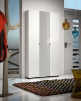 Armadio multiuso grande Rustenburg, Mobile multifunzionale, Mobiletto scarpiera, Guardaroba porta scarpe, Made in Italy, 11x19h200 cm, Bianco lucido