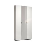 Armadio multiuso grande Rustenburg, Mobile multifunzionale, Mobiletto scarpiera, Guardaroba porta scarpe, Made in Italy, 11x19h200 cm, Bianco lucido