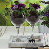 Bicchieri Trasparente set da 6 210 ml Adatto per Lavastoviglie, - Radabali