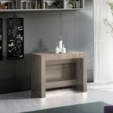 Consolle estensibile 4-12 posti rovere - Anello
