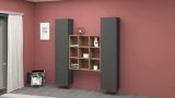 Credenza Fausto, Set da soggiorno a 2 ante e ripiani, Buffet da soggiorno, Madia da cucina, 100% Made in Italy, cm 170x30h180, Antracite e Acero