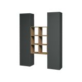 Credenza Franco, Set da soggiorno a 2 ante e ripiani, Buffet da soggiorno, Madia da cucina, 100% Made in Italy, cm 140x30h180, Antracite e Acero