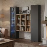Credenza Nero Antracite 14 Ripiani 2 Ante 40x30x180h cm, 19 Vani - Colonno