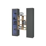 Credenza Nero Antracite 8 Ripiani 2 Ante 40x30x180h cm, 16 Vani - Rimella
