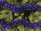 Decorazione da Natale Dolly, 1000x8 h8 cm, Blu