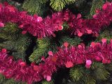 Decorazione da Natale Ferpècle, Addobbo natalizio, Ornamento da natale, Decorazione festiva, Made in Italy, 1000x8 h8 cm, Fuxia