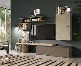 Parete attrezzata Nemi, Composizione soggiorno, Mobile salotto multiuso, Armadio porta TV, Made in Italy, 260x40 h190 cm, Noce e Grigio