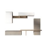 Parete attrezzata Pozzillo, Composizione soggiorno, Mobile salotto multiuso, Armadio porta TV, Made in Italy, 290x40 h195 cm, Bianco lucido e Rovere