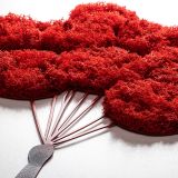 Quadro Nero Rosso Materiale Struttura in Metallo Colore Struttura Rosso 100x34h cm, - Momoriri