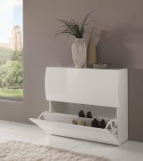 Scarpiera Andrea, Mobile multiuso a 2 ante a ribalta-, Portascarpe da ingresso, 100% Made in Italy, cm 101x27h82, Bianco lucido