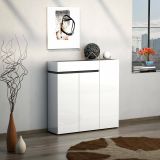 Scarpiera Conakry, Mobile portascarpe, Armadio da ingresso multiuso, Mobiletto per calzature, Made in Italy, 120x34h115 cm, Bianco lucido e Antracite