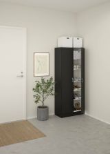 Scarpiera Oceane, Mobile portascarpe, Armadio da ingresso multiuso, Mobiletto per calzature, 35x69 h170 cm, Nero