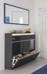Scarpiera Piero, Mobile multiuso a 2 ante e 1 anta a ribalta-, Portascarpe da ingresso, 100% Made in Italy, cm 120x27h108, Antracite lucido