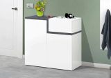 Scarpiera Ryan, Mobile multiuso a 2 ante e 1 anta a ribalta-, Portascarpe da ingresso, 100% Made in Italy, cm 80x40h80, Bianco lucido e Ardesia