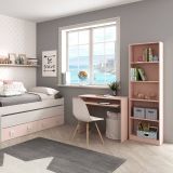 Scrivania Rosa un Ripiano Materiale Piano in Legno Nobilitato 90x54x79h cm, Colore Ripiano Rosa - Ajeje
