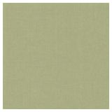 Set Completo Letto Singolo Verde 50% Cotone 50% Poliestere, Lavabile in Lavatrice - Sapatalo Luxury