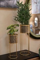 Set di 2 vasi Boltiere, Complemento d'arredo, Articolo decorativo, Accessorio d'arredo, Oro, 17x17 h46 cm