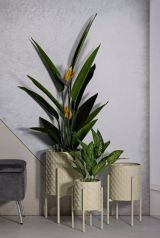 Set di 3 portavasi Buller, Complemento d'arredo, Articolo decorativo, Accessorio d'arredo, 36x36 h57 cm, Crema