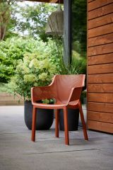 Set di 6 sedie da esterno Cavareno, Seggiola da giardino, Seduta outdoor multiuso, Panchina da giardino, 61x54 h79 cm, Multicolore