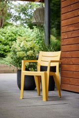 Set di 6 sedie da esterno Tregnago, Seggiola da giardino, Seduta outdoor multiuso, Panchina da giardino, 62x59 h79 cm, Multicolore