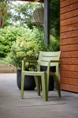 Set di 6 sedie da esterno Tregnago, Seggiola da giardino, Seduta outdoor multiuso, Panchina da giardino, 62x59 h79 cm, Multicolore