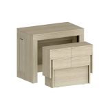 Set tavolo allungabile e 2 panche allungabili effetto legno 12 posti - Auditore