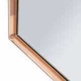 Specchio Rosa Trasparente Cornice Sagomata Forma Rettangolare 62x100h cm, Tipologia a Parete - Gamera