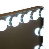 Specchio Trasparente Lampadine Incluse Forma Rettangolare 61x47h cm, Tipologia a Parete - Galiseri
