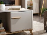 Tavolino da Salotto Beige Marrone Rovere con Piedini un Vano 101x54.5x46h cm, Forma Rettangolare - Patu