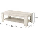 Tavolino da Salotto Bianco Larice un Vano Forma Rettangolare 120x60x41.5h cm, Sfumatura Colore Ripiano Larice - Front