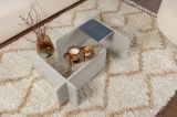 Tavolino da Salotto Grigio Portariviste Forma Rettangolare 105x65x30h cm, Materiale Piano in Vetro - Kallias