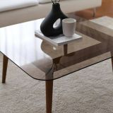 Tavolino da Salotto Marrone Bronzo Effetto Fume Forma Rettangolare 80x80x40h cm, Sfumatura Colore Struttura Bronzo - Mezzagno