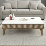 Tavolino da Salotto Marrone Noce Bianco Portariviste un Vano 105x60x35h cm, Forma Rettangolare - Atrani