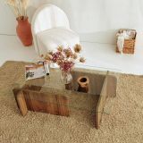 Tavolino da Salotto Marrone Noce Portariviste Angoli Arrotondati Forma Rettangolare 105x65x40h cm, Colore Ripiano Trasparente - Teti