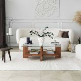 Tavolino da Salotto Marrone Noce Portariviste un Vano 105x60x40h cm, Forma Rettangolare - Tomiri