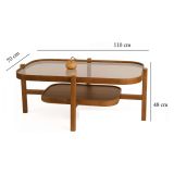 Tavolino da Salotto Marrone Noce un Vano Forma Rettangolare 110x70x48h cm, Materiale Struttura in Vetro - Sorbolo