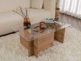 Tavolino da Salotto Marrone Pino Portariviste Forma Rettangolare 105x65x40h cm, Sfumatura Colore Struttura Pino - Azriel