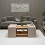 Tavolino da Salotto Marrone Rovere Grigio Tortora un Vano Forma Rettangolare 100x40x37h cm, Colore Ripiano Marrone - Usseglio