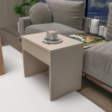 Tavolino da Salotto Marrone Rovere Grigio Tortora un Vano Forma Rettangolare 100x40x37h cm, Colore Ripiano Marrone - Usseglio
