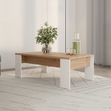Tavolino da Salotto Marrone Rovere Nodi Bianco Opaco Forma Rettangolare Colore Ripiano Marrone 120x67x43h cm, Colore Struttura Bianco - Bertona