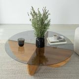 Tavolino da Salotto Marrone Rovere Portariviste Forma Rotonda 90x90x30h cm, Materiale Struttura in Vetro - Jolanda