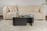 Tavolino da Salotto Nero Antracite Peso Massimo Supportato 10 kg Forma Rettangolare 105x65x40h cm, Sfumatura Colore Struttura Antracite - Azriel