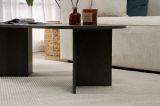 Tavolino da Salotto Nero Forma Rettangolare Materiale Piano in Legno Nobilitato 119x60x40h cm, Colore Ripiano Nero - Porcari